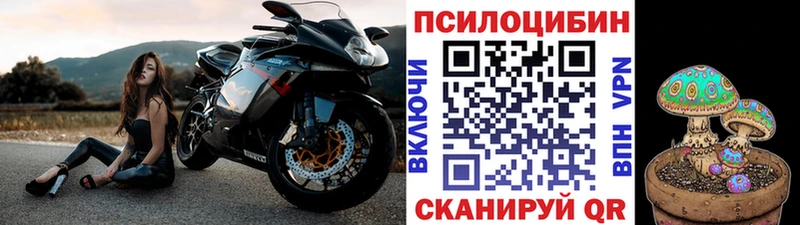 кракен Талдом Псилоцибиновые грибы мухоморы